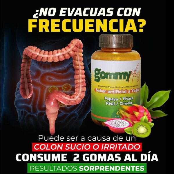 estreñimiento colon flora intestinal