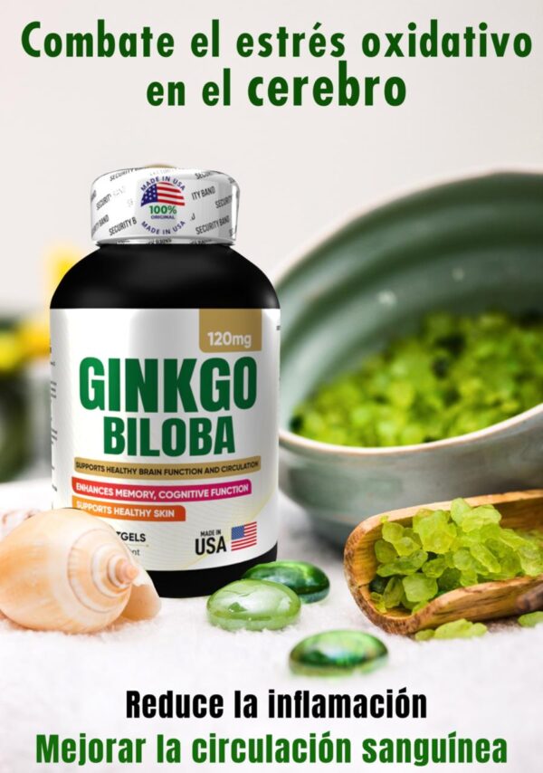 GINKGO BILOBA